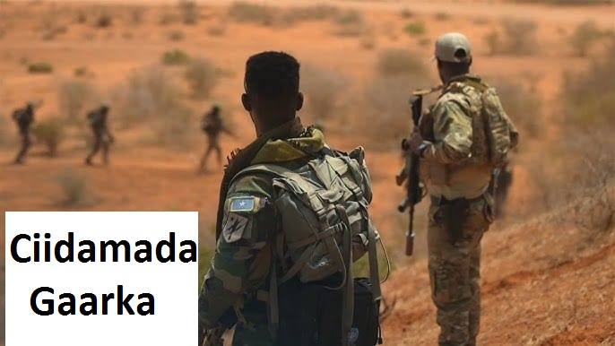 Ciidamada gaarka.jpg